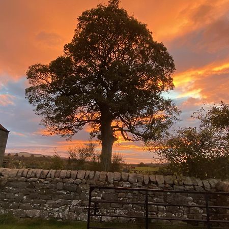 Wydon Farm Bed And Breakfast Haltwhistle Exteriér fotografie