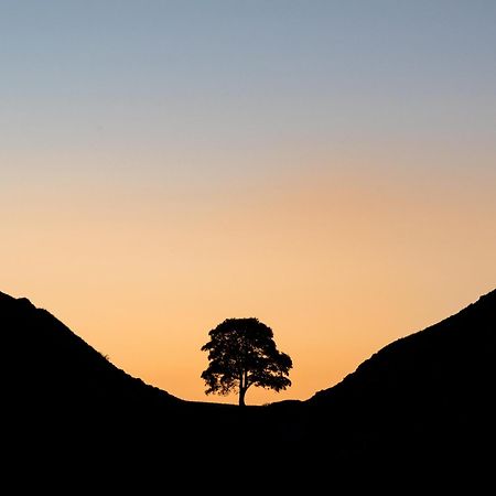 Wydon Farm Bed And Breakfast Haltwhistle Exteriér fotografie