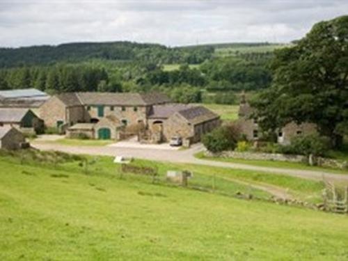 Wydon Farm Bed And Breakfast Haltwhistle Exteriér fotografie