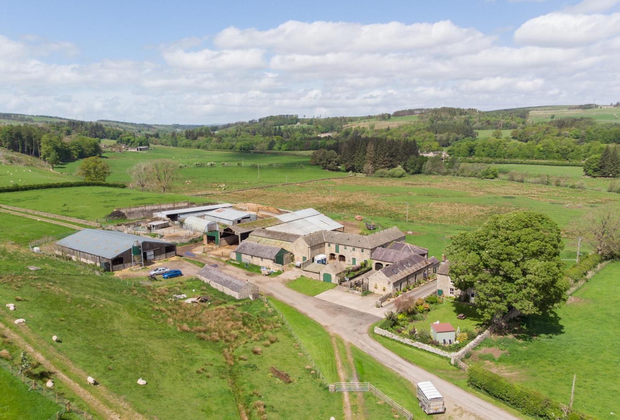 Wydon Farm Bed And Breakfast Haltwhistle Exteriér fotografie