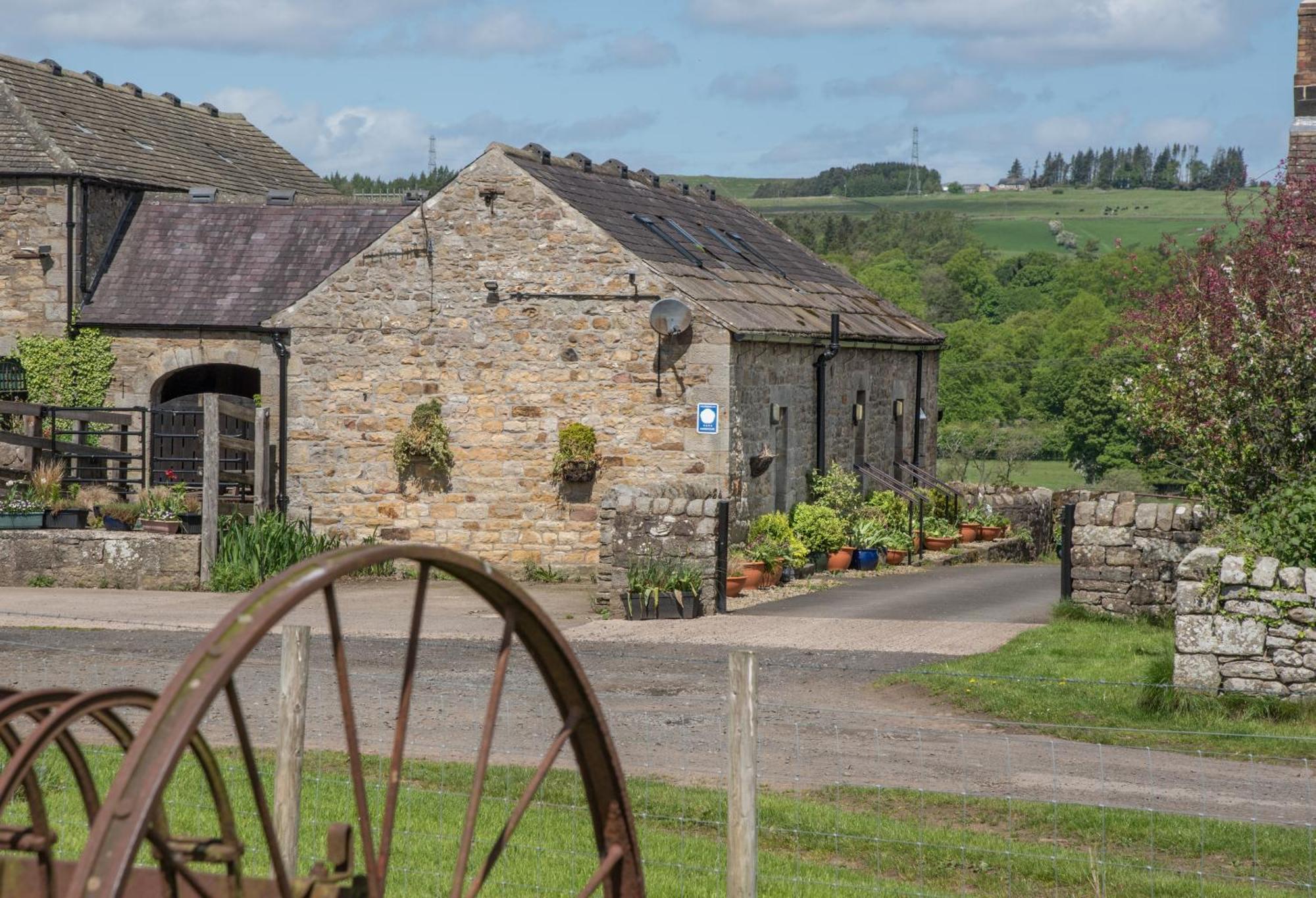 Wydon Farm Bed And Breakfast Haltwhistle Exteriér fotografie