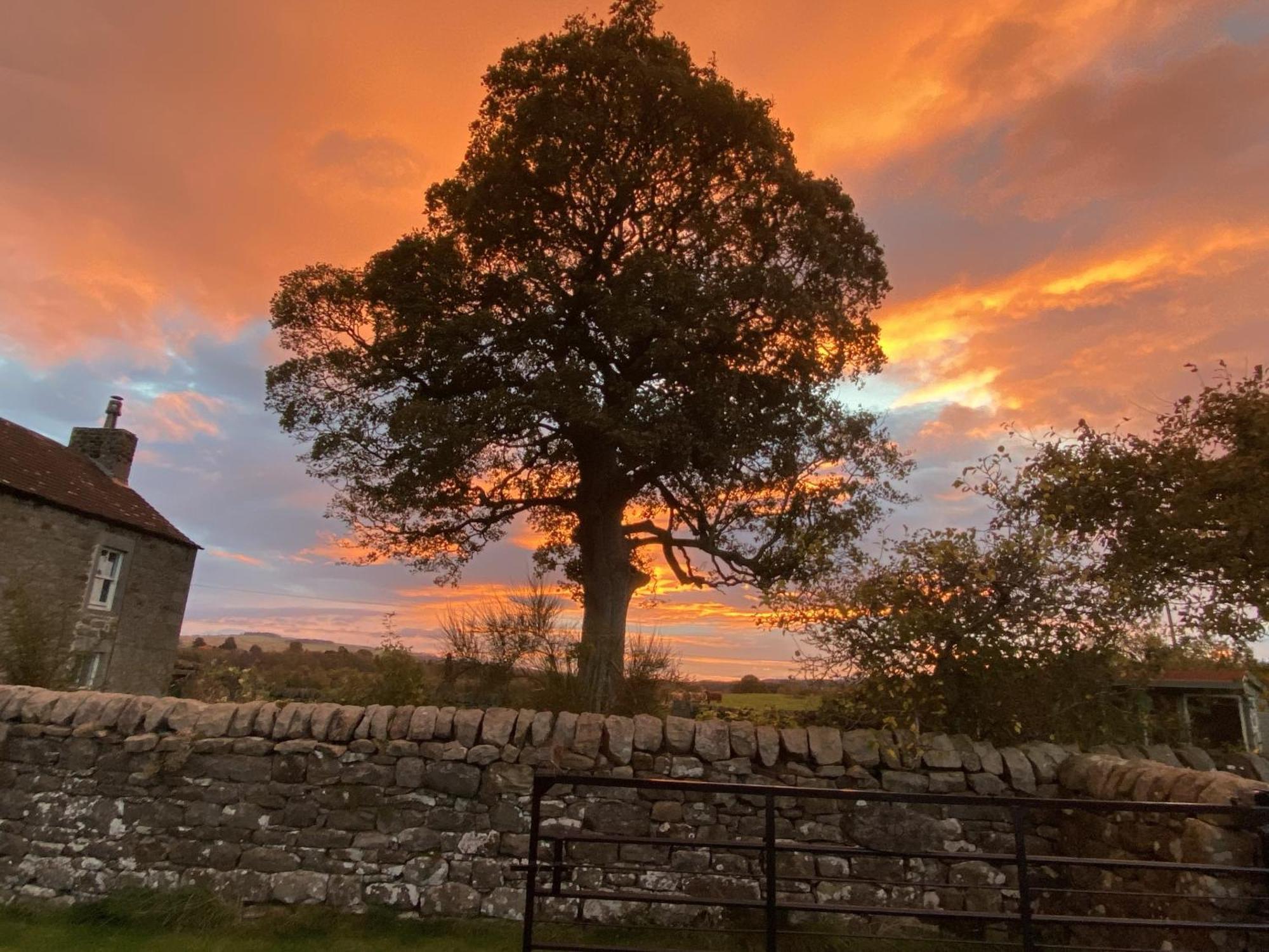 Wydon Farm Bed And Breakfast Haltwhistle Exteriér fotografie