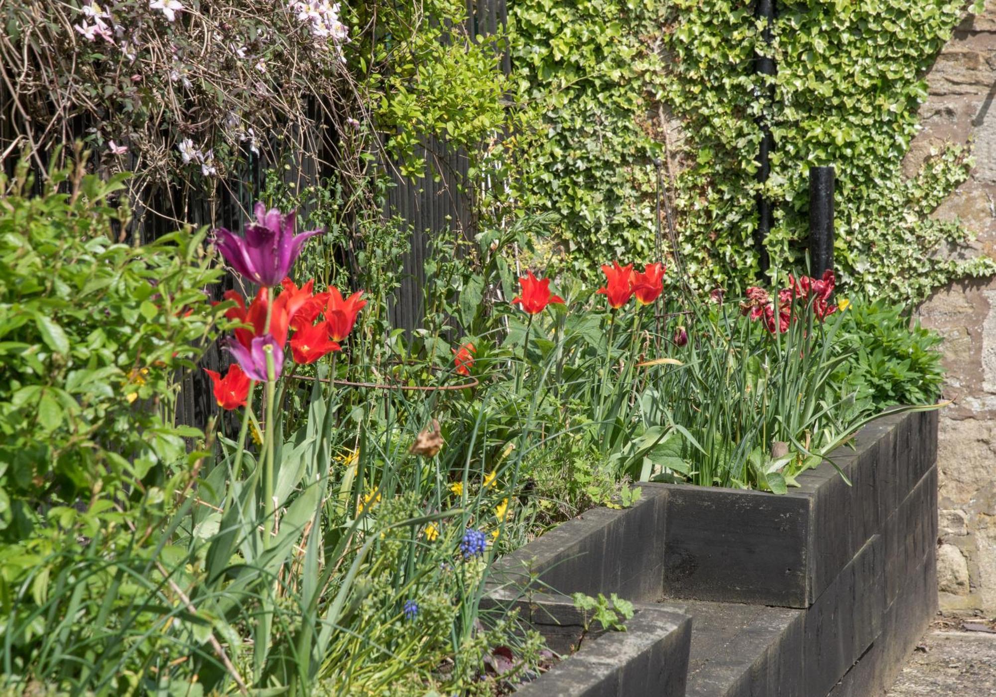 Wydon Farm Bed And Breakfast Haltwhistle Exteriér fotografie